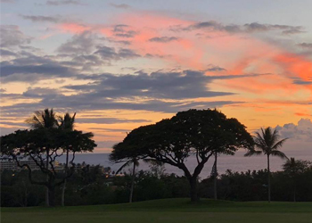 Très belles performances de nos 3 Isséens à Hawaii